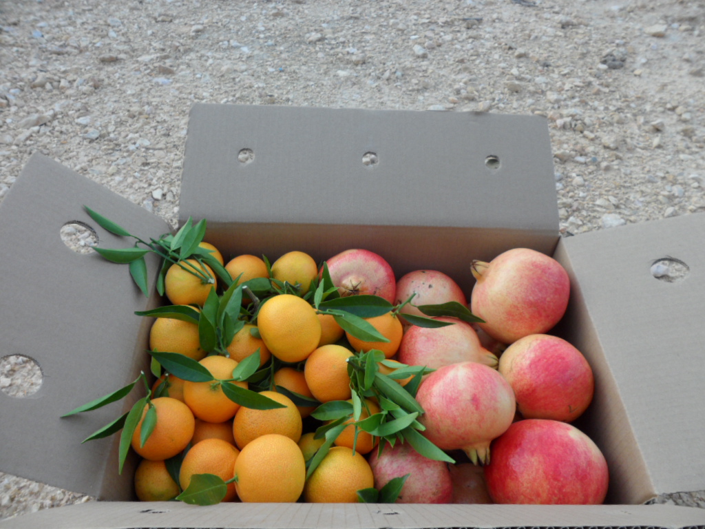 Caja Mixta 9kg Mandarina y Granada Mollar-410