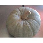 Calabaza Valenciana de 2 a 4 kg (aprox.)-0