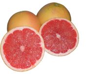 Pink Grapefruit