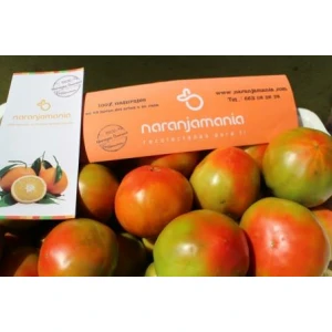 Caja Mixta 14kg de Naranja Zumo (9kg) + Tomate Valenciano (5kg)✔-590