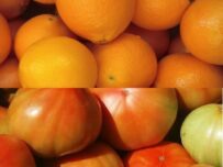 Caja Mixta 9kg de Naranja Zumo (7kg) + Tomate Valenciano (2kg)✔