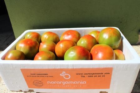 Caja Mixta 19kg de Naranja Zumo (14kg) + Tomate Valenciano (5kg)✔-588