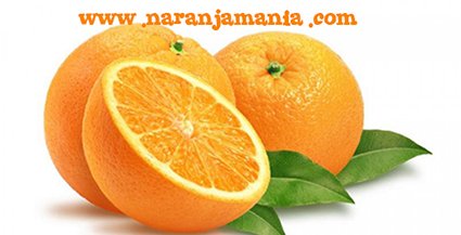 Naranjas Valencianas