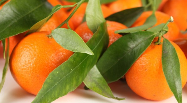 Mandarina 1kg ✔-807