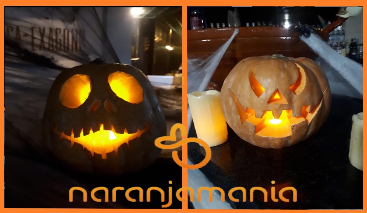 Calabaza Halloween(2,5kg a 3,5kg aprox.)-1031