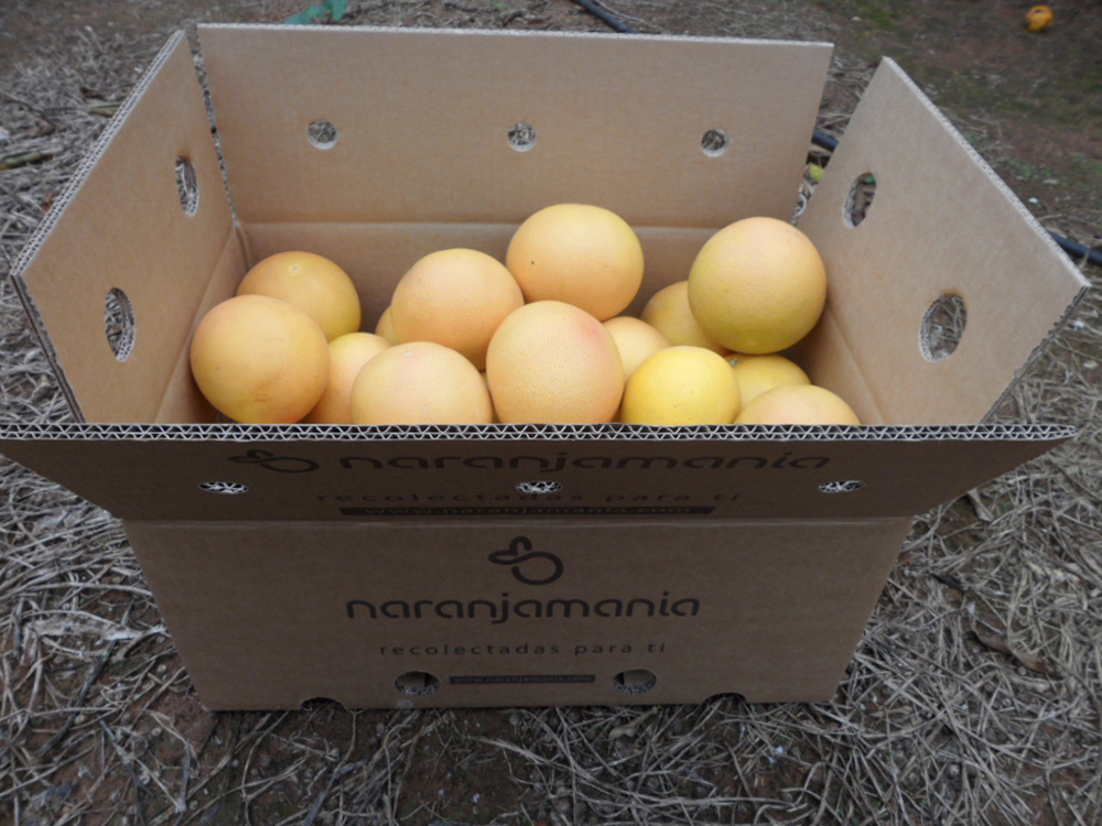 Caja de 5kg Pomelo Star Ruby ✔ -822