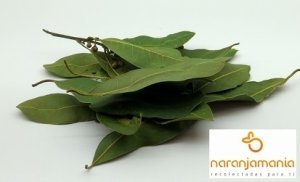 LAUREL SECO 10grms.-912