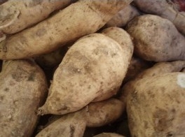 Boniato blanco 1kg ✔-943