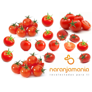 Tomate Cherry 0,5kg ✔-954