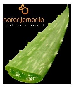 Aloe Vera (hoja) ✔-0