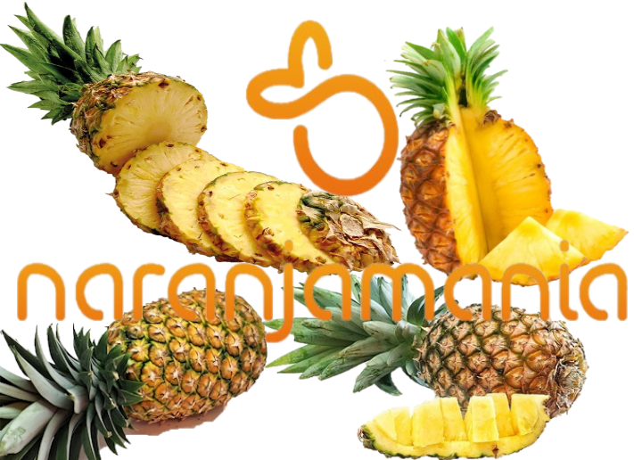 Piña (pieza) ✔-965