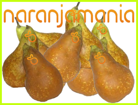 Pera conferencia 1kg ✔-0