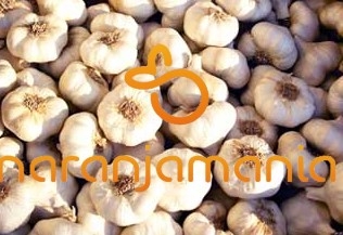 Ajos (5 cabezas) ✔-0