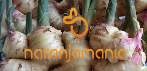 Jengibre 250g ✔-970