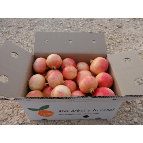 Granada Mollar 9 kg TAMAÑO PEQUEÑO-0