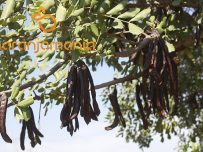 Algarroba-Garrofa 1kg-0