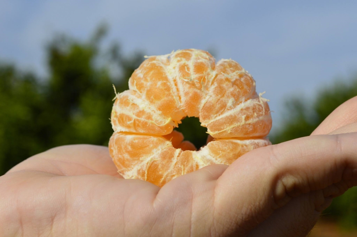 9kg Schachtel Mandarine