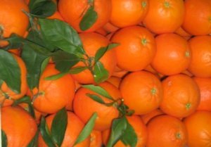 Gemischte Kiste Tafelorange und Saft à 9kg