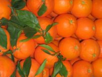Gemischte Kiste Tafelorange und Saft à 9kg